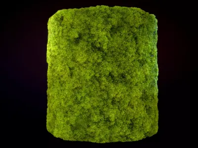 Seamless PBR Moss Substance Material Texture