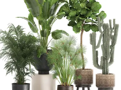 Plants in a metal flowerpot for the interior 1079 3D model