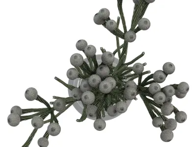 Brunia flowers in vase 3D model