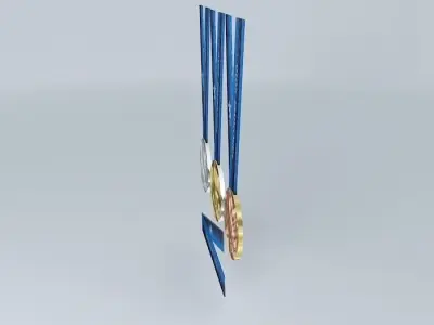 Vancouver 2010 Olympic Medals 3D model