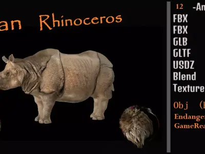 Indian Rhinoceros 3D model