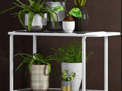 Decorative plant set-36 3D model