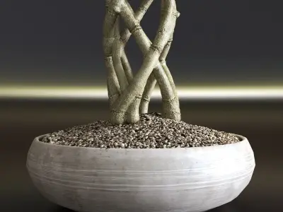 Bonsai Interior 3D model