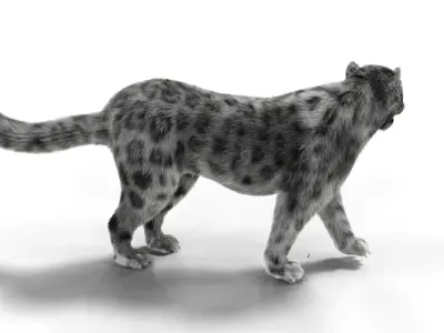 Realistic Fur Leopard  Rigged Low-poly 3D model