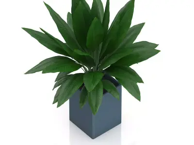 Plant in Square Blue Pot 3D model
