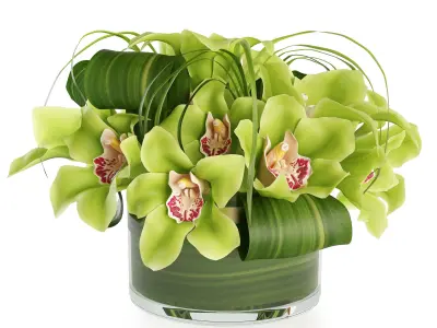 Bouquet of orchids 3D model