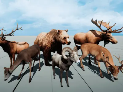 Realistic Animals PACK Low-poly 3D model