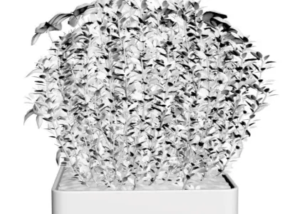 Flower pots with herbs 3D model