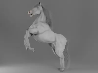 Horse 3D model 32
