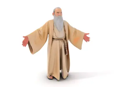 Wise Old Sage Rigged and Animated D Character Model Low-poly 3D model