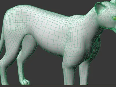 Cheetah with realistic fur Low-poly 3D model