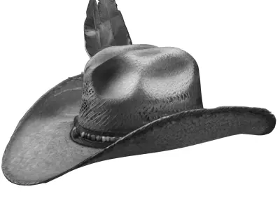 Decorated Country Hat 3D model