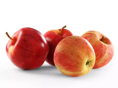 Natural Apples Free low-poly 3D model