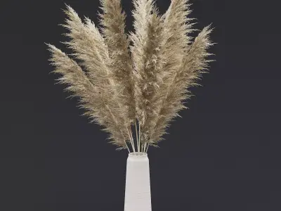 Pampas Grass II 3D model