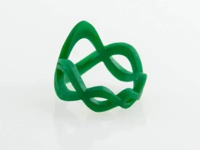 Infinity Ring  3D print model
