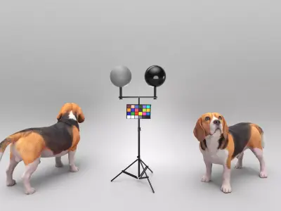 Walking dog 27 Low-poly 3D model