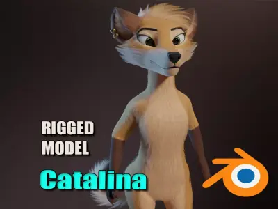 Catalina Anthro Fox 3D model