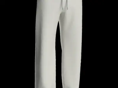 Male sweatpants 3D model