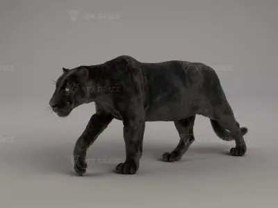 Black Jaguar 3D Blender 3D model