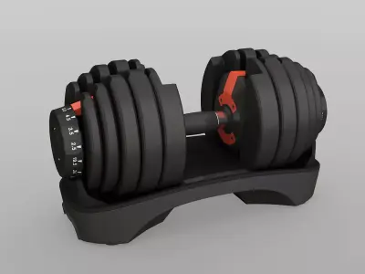 Adjustable Dumbbells Low-poly 3D model