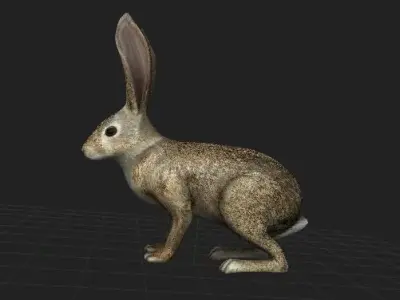Rabbit Highpoly in grassy field 3D model