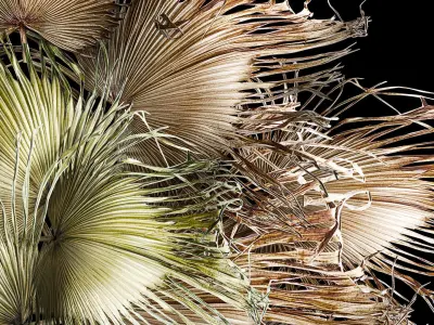 wreath bouquet of dry branches of palm leaves 309 3D model