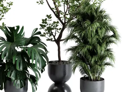 indoor plant set 651 pot tree in a concrete dirt vase 3D model