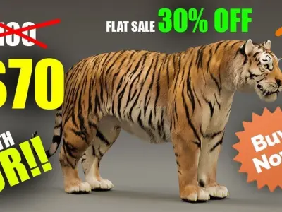 Tiger 3D model Low-poly 3D model buy