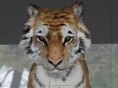 updated realistic siberian tiger 3d model 3D model