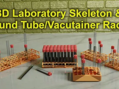 3D Print Ready Laboratory Test Tube Racks and Stands Set  3D print model