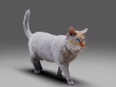 Fur Cat White Rigged Low-poly 3D model