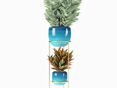 Collections Plants 07 3D model