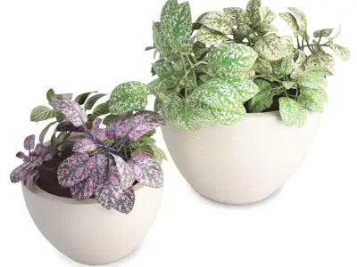 Interior Flower pot  3D model