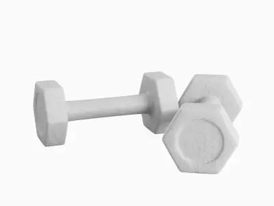Small Rubber Dumbbell 02  3D model