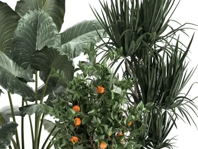 Houseplants in a  flowerpot for the interior 1002 3D model