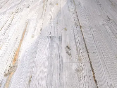 Yurtbay Larix Bone 20x120 Texture