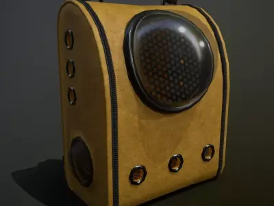 Astronaut Cat Carrier Low-poly 3D model