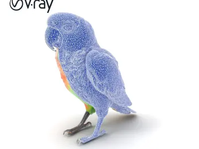 Colorful Parrot Species 3D Model Pack Low-poly 3D model