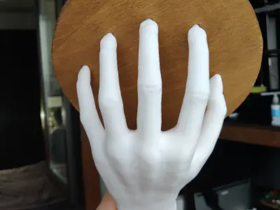 HAND SHELF 3D print model