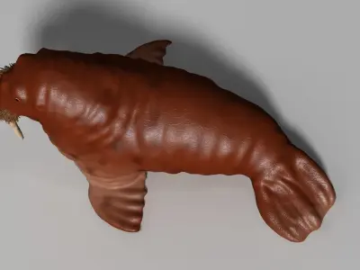 walrus Rigged 3D model