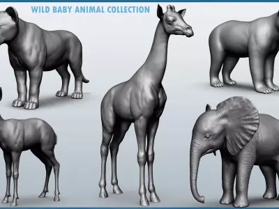 Wild Baby animal collection  5 animals 3D model