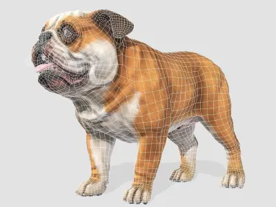 Dog - Bulldog Low-poly 3D model