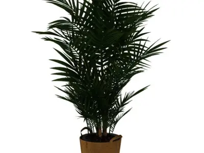 POTTED PLANT 3D model