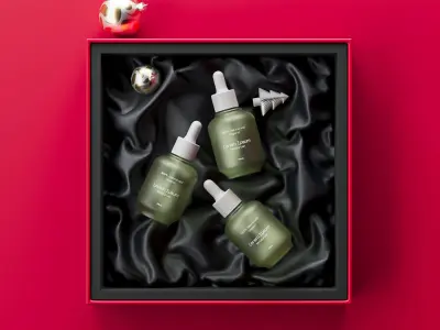 Product Render Scene for Holidays 3D model