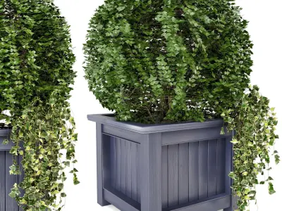 Outdoor Plants in Wooden Pot - Set 34  3D model
