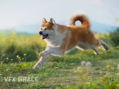 Akita Dog Animated VFX Grace 3D model