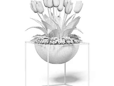 White Tulips 3D Model 3D model