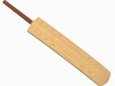 Cricket Bat Toy 3D print model