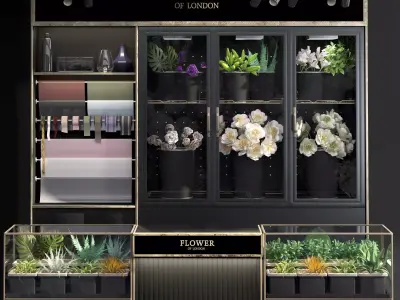 Refrigerated display for flowers-florist-flower shop decor set 3D model