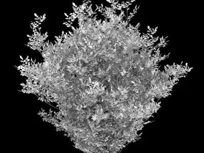 Decoration - Flowers 92 3D model